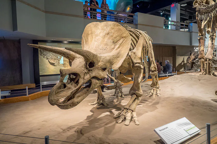 Air Duct Cleaning North Richland Hills TX